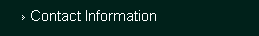 Contact Information